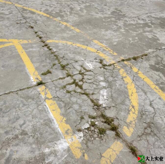 籃球場地面已開裂，并長出雜草。